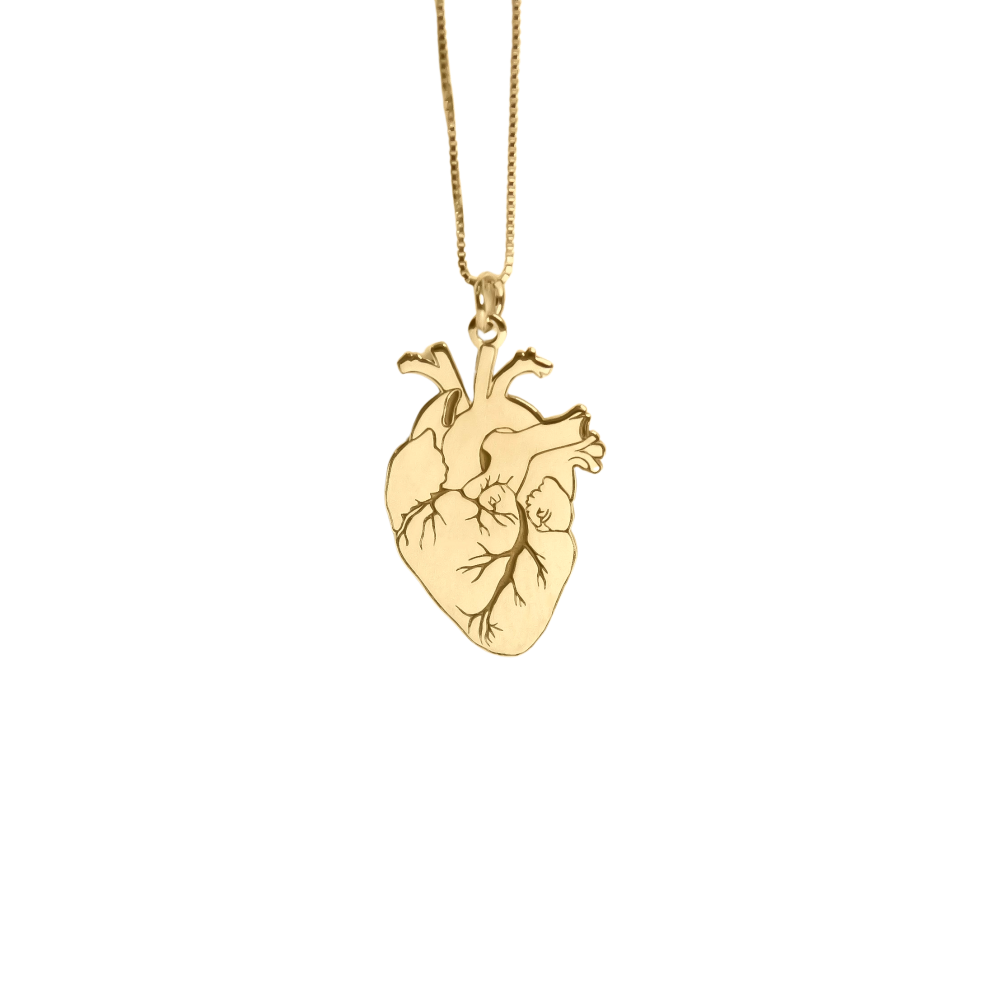 Collana con medaglione a forma di cuore umano 3D: portapillole anatomico in argento sterling per uomo/donna - Italia Collana con medaglione a forma di cuore umano 3D: portapillole anatomico in argento sterling per uomo/donna - Italia