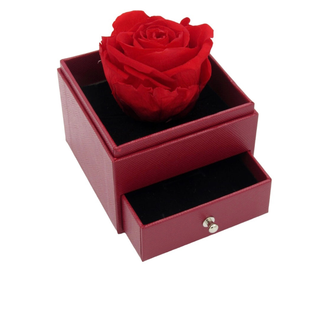 CONFEZIONE ROSA ROSSA